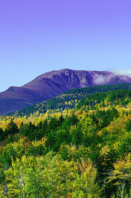 White Mountains