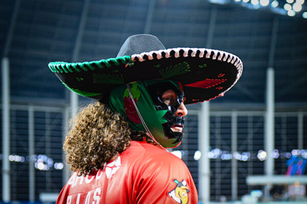 mexican sombrero