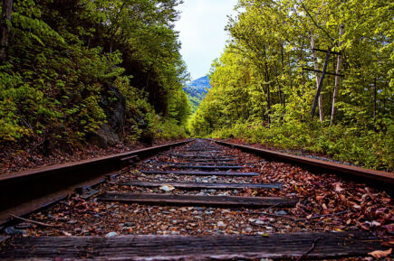 Autumn Train Tracks