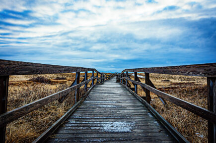 Beach Boardwalk