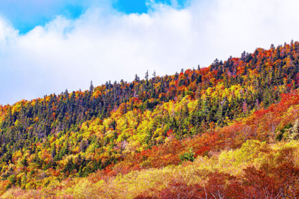 Crawford Notch