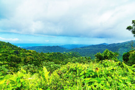 El Yunque National Forest