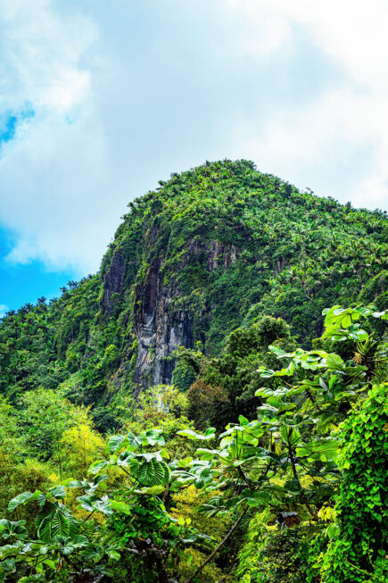 El Yunque