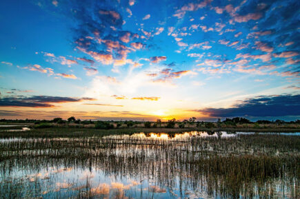 Florida Everglades Sunset