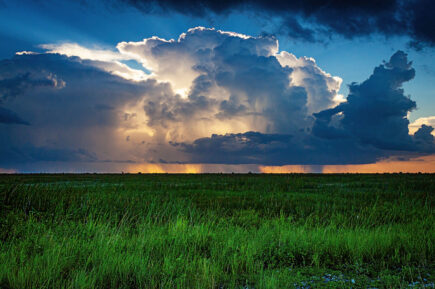 Florida Everglades Thunderstorm