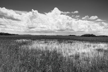 Florida Everglades